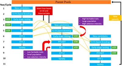 Prospectus of Genomic Selection and Phenomics in Cereal, Legume and Oilseed Breeding Programs